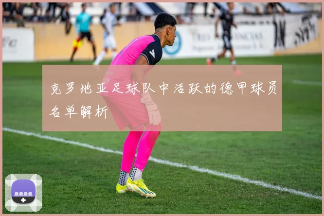 克罗地亚足球队中活跃的德甲球员名单解析